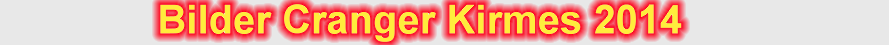 anibanner2014