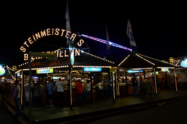 steinmeister2