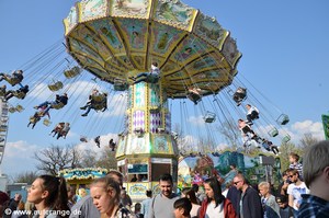 wellenflug wendler
