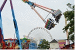 bonn13ani