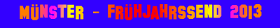 muensterfj13logo