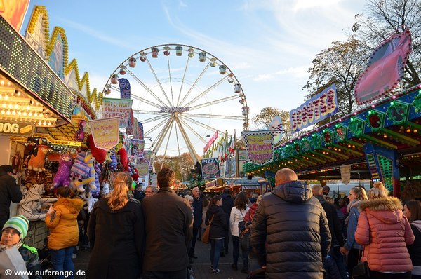 bilder werne simjue 2019