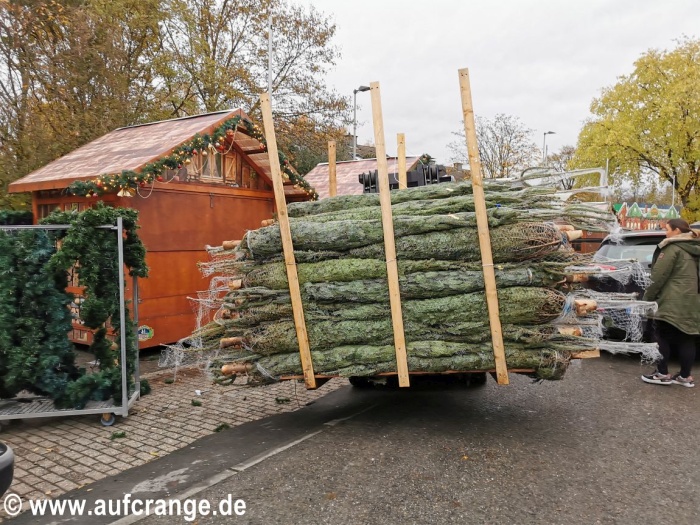 vorstart cranger weihnachtszauber 2024