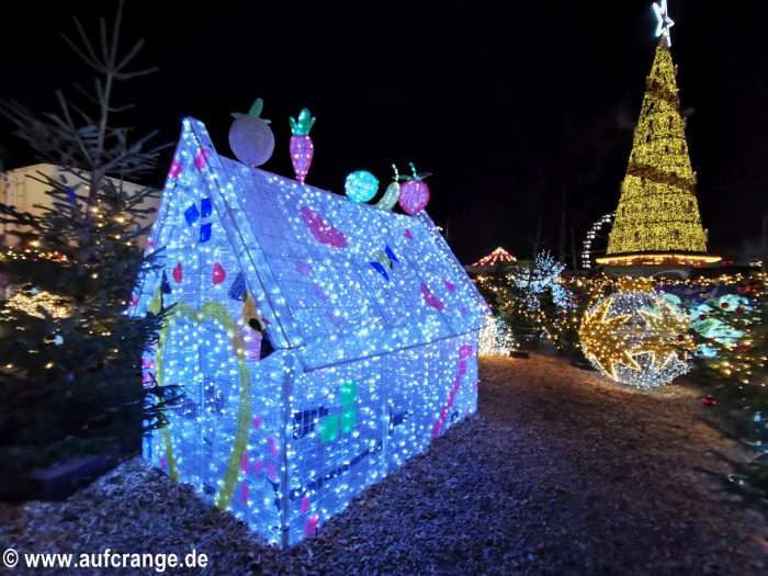 bilder cranger weihnachtszauber lichterwald
