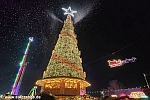 weihnachtsbaum kl